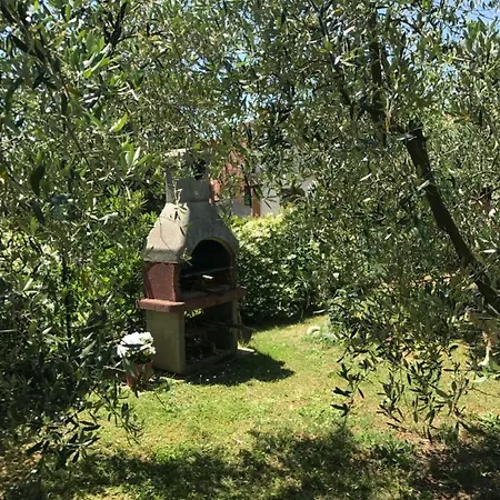 Casa Degli Ulivi דירה סנטו סטפאנו די מאגרה